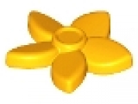 Blume 18853, hellorange