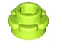 Blume klein lime, 24866