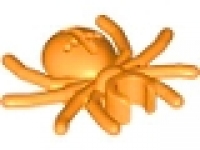 Spinne orange