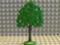 Baum flach Eiche lackiert glatter Boden FTOak grün