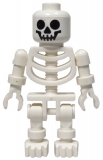 Skelett gen001