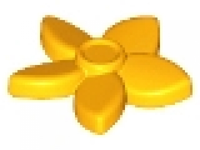 Blume 18853, hellorange