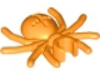 Spinne orange