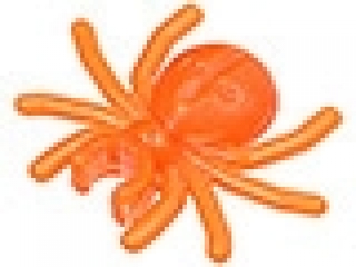 Spinne tr neon orange
