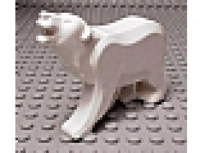 Eisbär, Polar Bear 76147c01