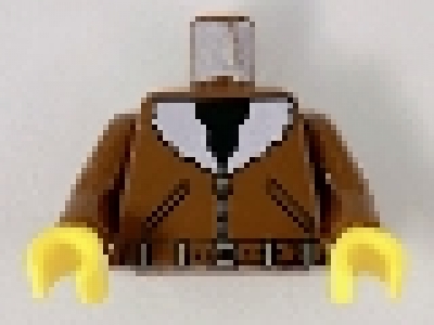 LEGO Figuren Oberkörper 973pa5c01